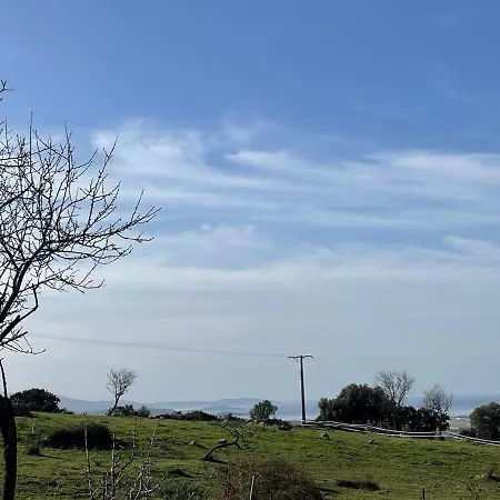 Magnifique T2 דירה