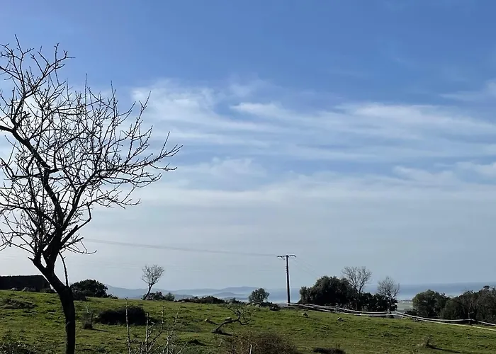 Magnifique T2 Apartman